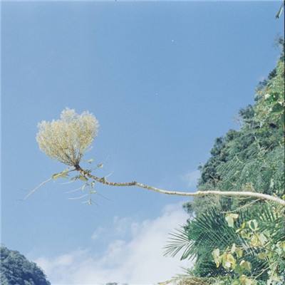 群雄争霸手游虫虫版下载